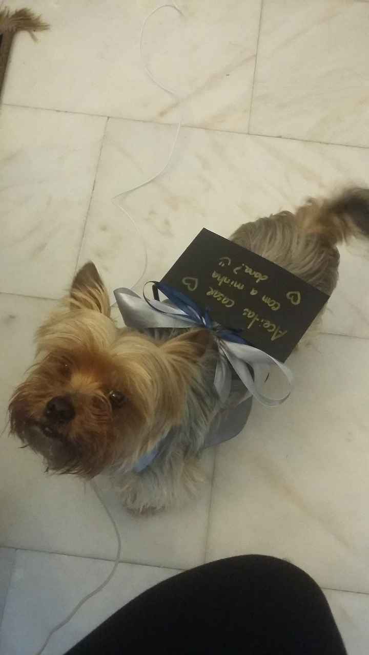 treinos com o cookie4