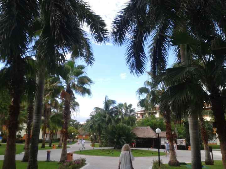 bahia coba