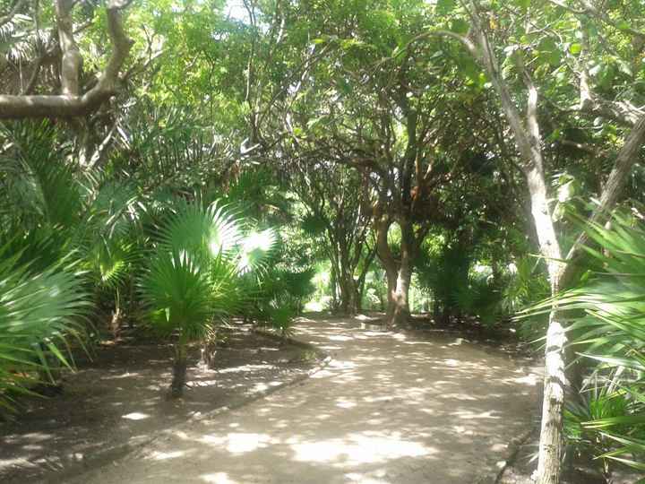 caminho de saída das ruínas