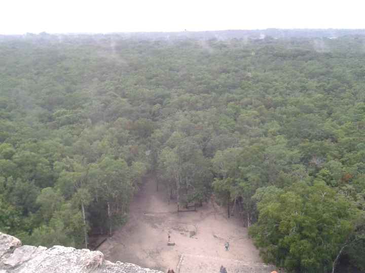 topo de coba