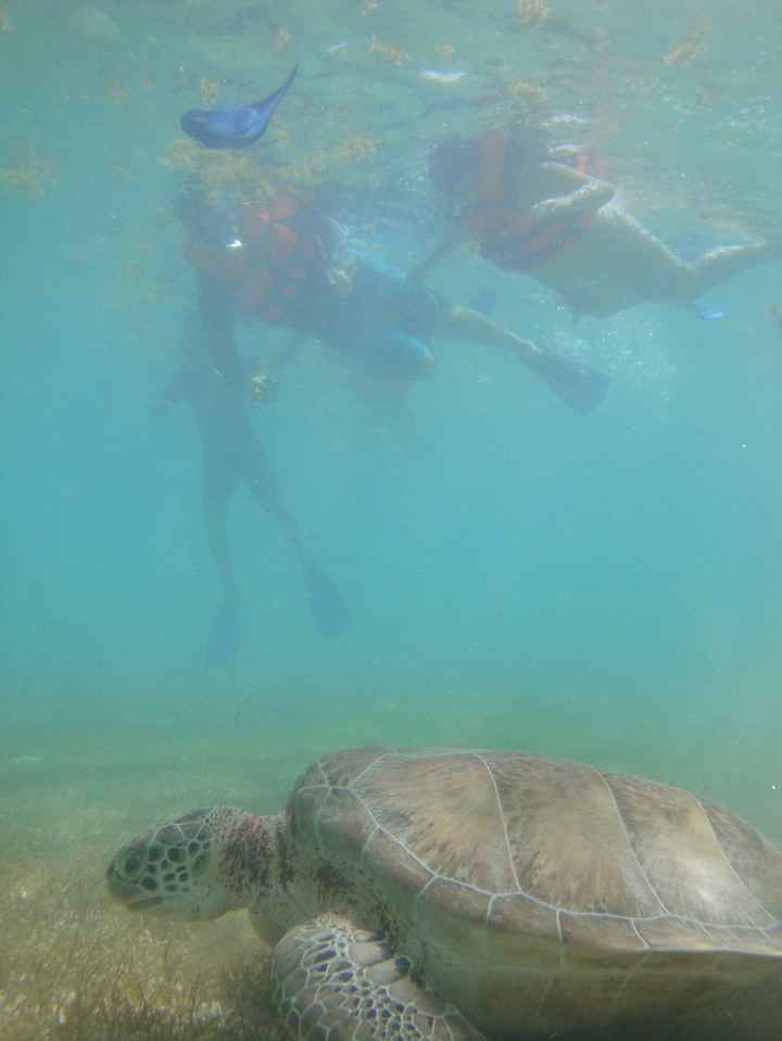 akumal