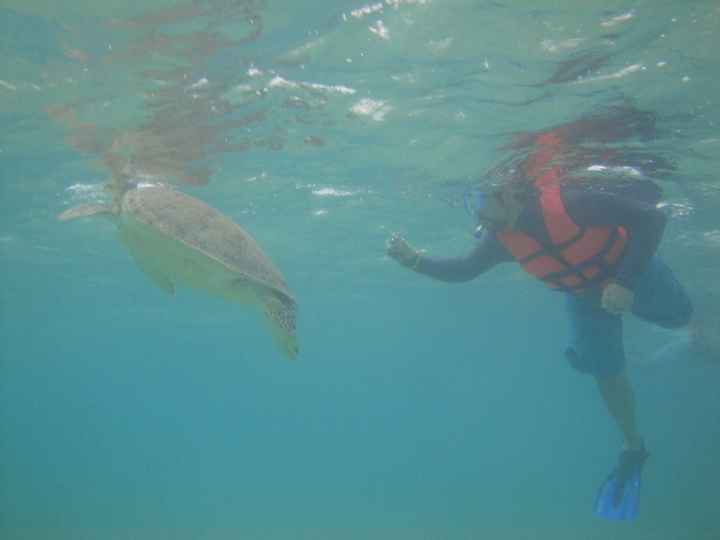 akumal