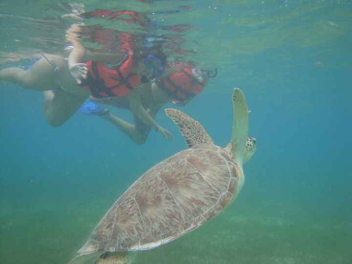 akumal