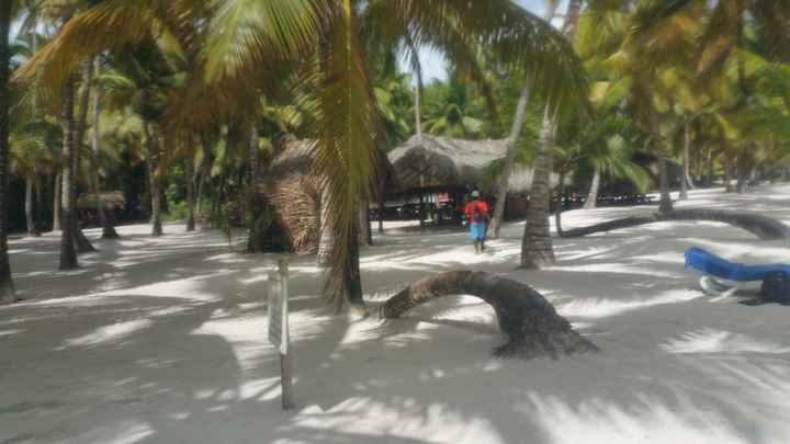 ilha saona