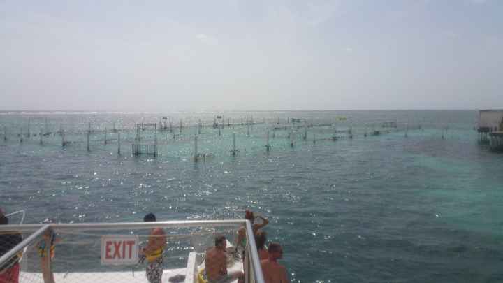 marinarium