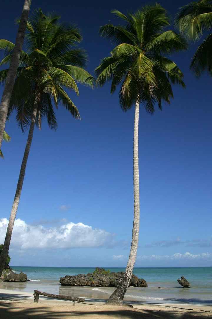 samana