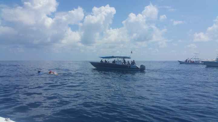 os barcos