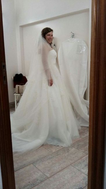 Check vestido, véu e tiara :) (agora com foto ahah) - 2