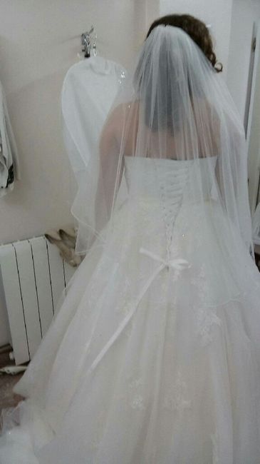 Check vestido, véu e tiara :) (agora com foto ahah) - 5