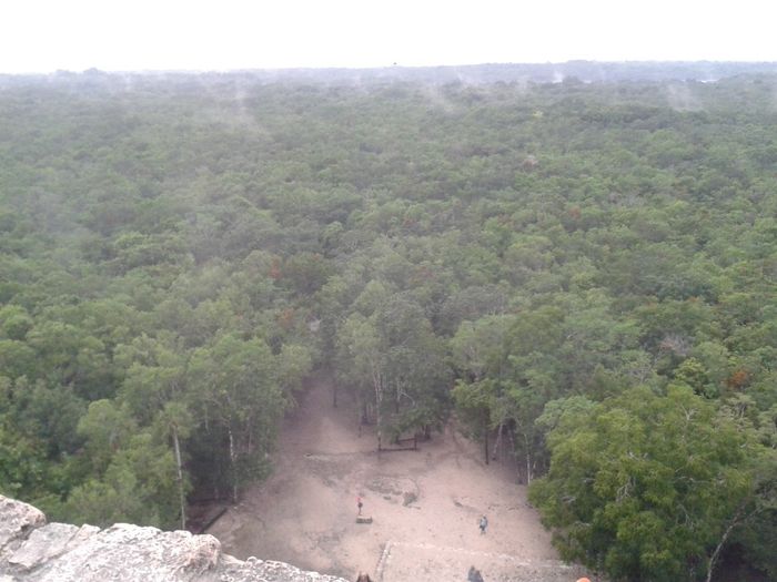 topo de coba