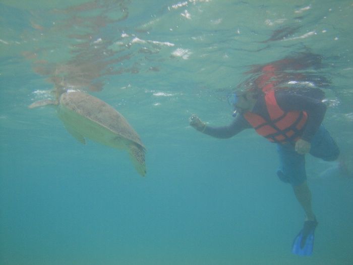 akumal