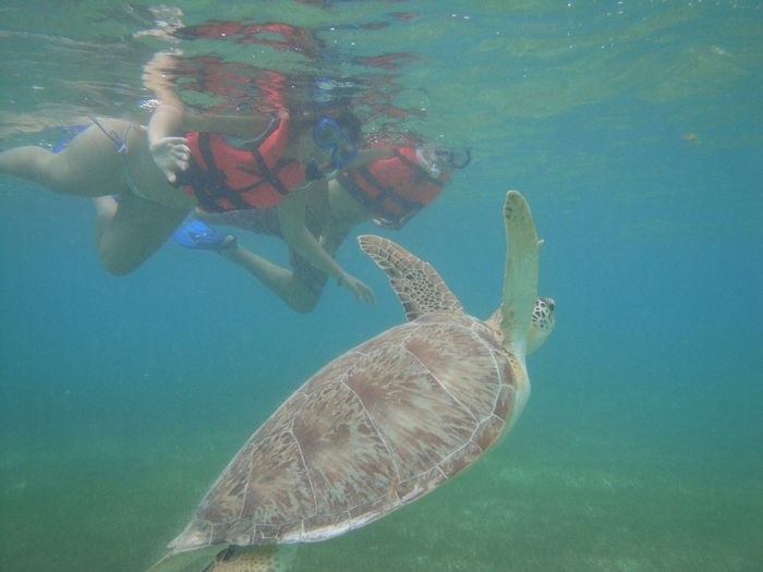 akumal