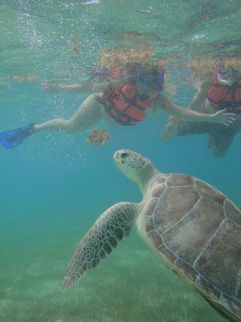akumal
