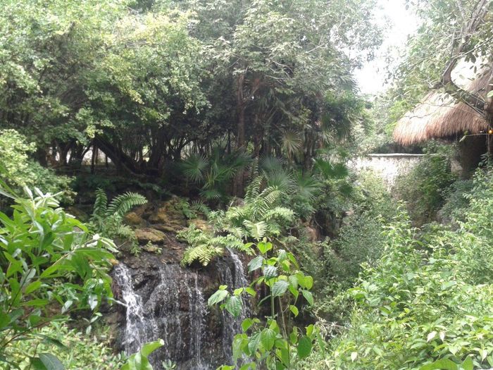 xcaret