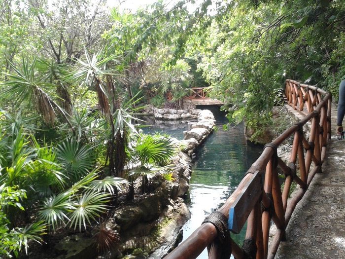 xcaret