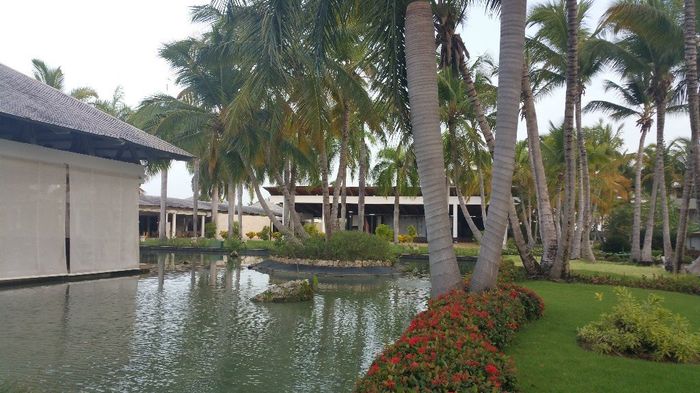 lago da zona de buffet