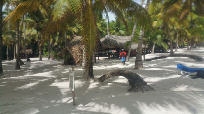 ilha saona