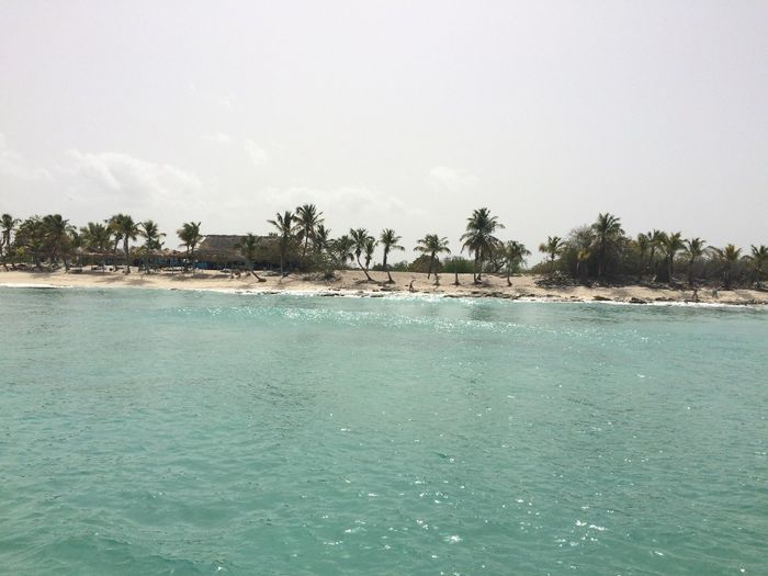 ilha catalina