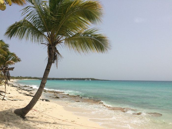 ilha catalina