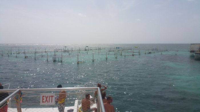 marinarium