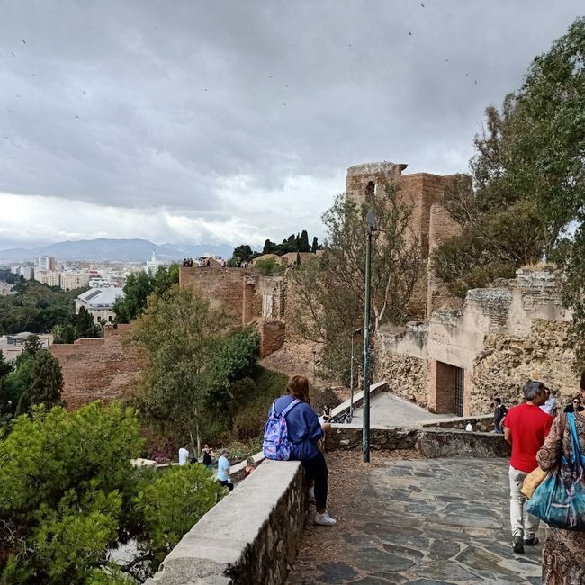 Lua de mel em Málaga 14