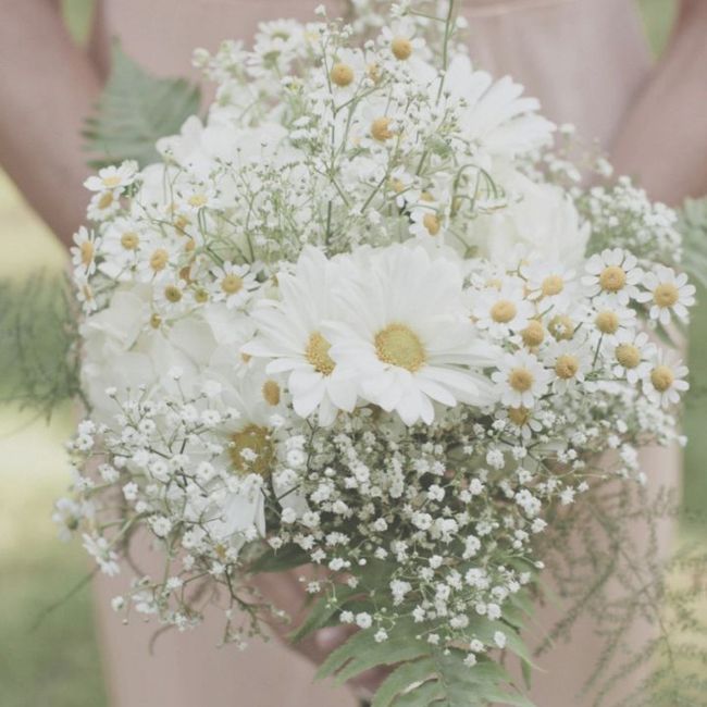 Quem paga o bouquet? - 1