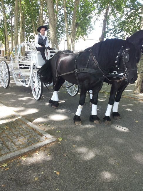 Ideias originais para transporte dos noivos :) - 1