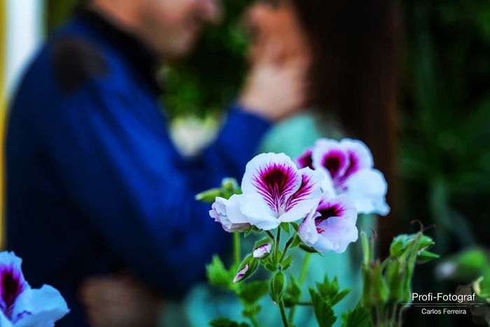 Sessão de namoro acabadinha de chegar 2