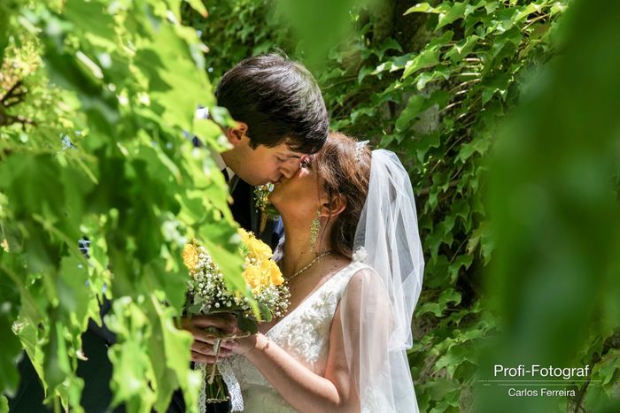 o Dia c - 10-07-2021 - 11