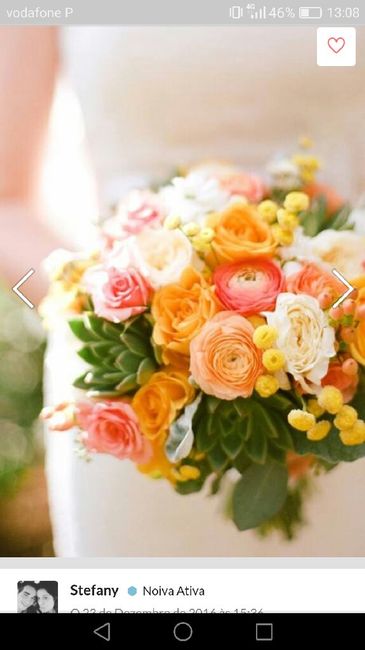 Cores de flores - 1