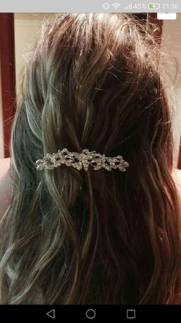 o que vão levar no cabelo? 1