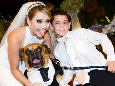 cão alianças