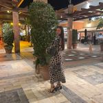 Catarina