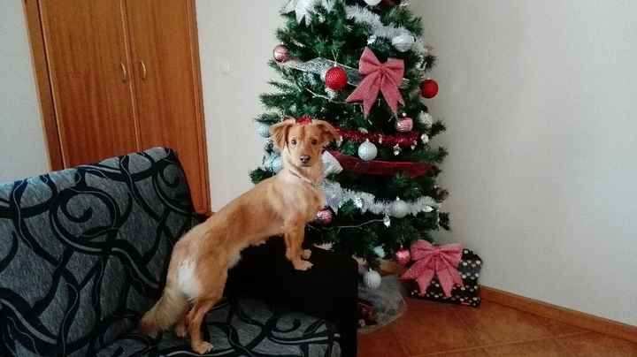 It's christmas time - 2