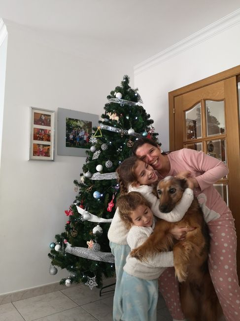 Fotografias incríveis com os vossos patudos! 🐶🤎 - 1