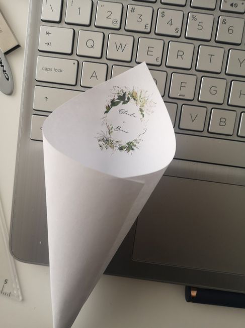 Cones de arroz - 1