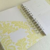 Organizador