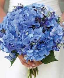 Bouquet 1