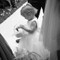 Elvira
