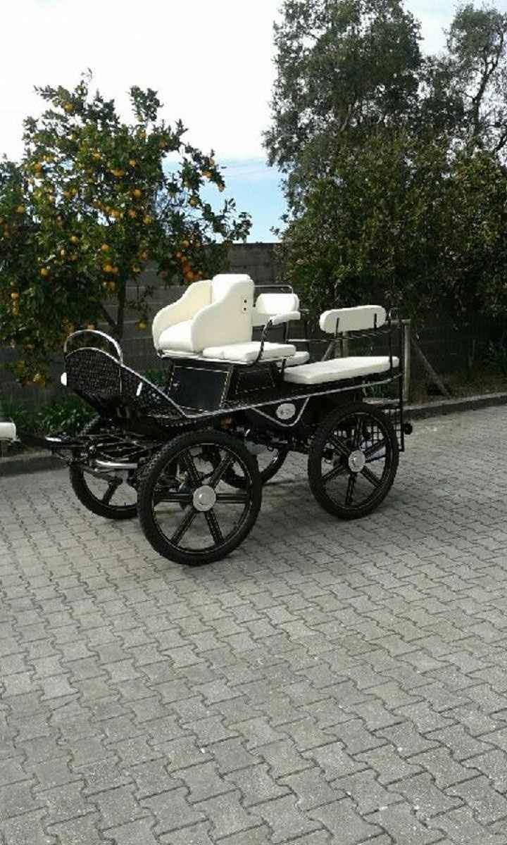 Aluguer charrete 