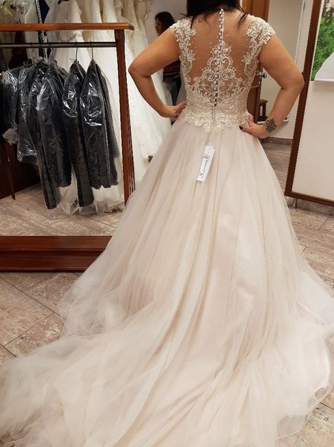  Provas de vestidos como prometido  ... opinioes - 2
