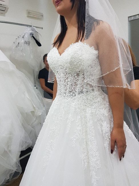  Provas de vestidos como prometido  ... opinioes - 1
