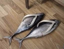 sapatos descanso