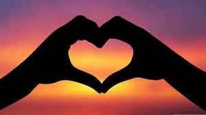 Amor 