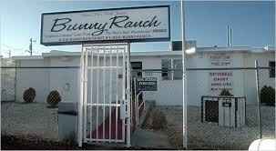 Cerimónia - bunny ranch