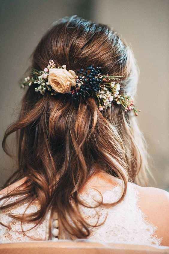 E. penteado