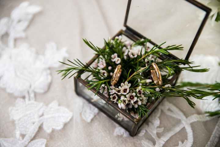 Hoje vou casar com estas alianças! - 2