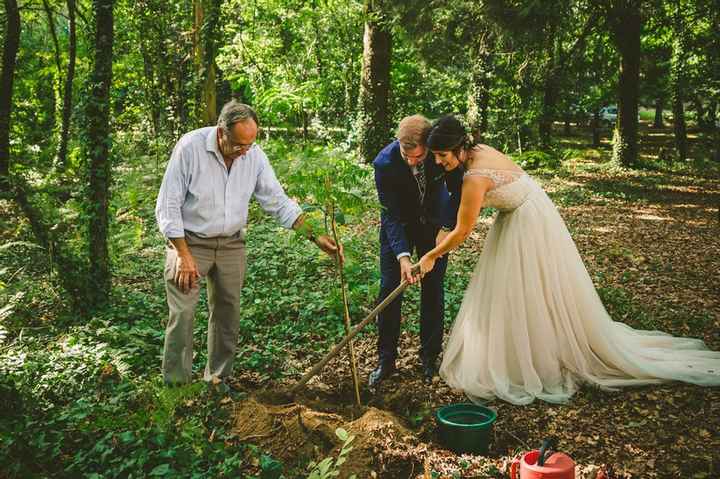 Cerimónia da árvore: conheces este ritual? - 2