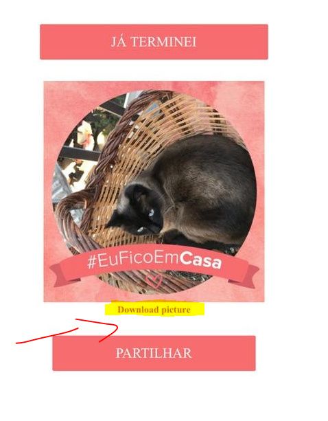 Personaliza a tua foto de perfil com as nossas molduras #EuFicoEmCasa 3