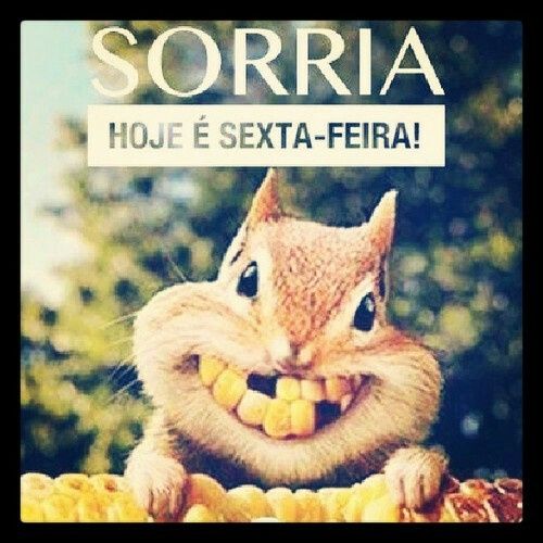 Bom dia cheio de coisinhas - 1